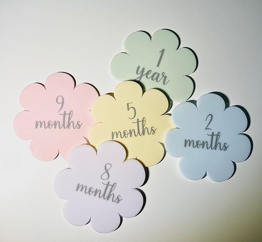 Pastel Daisy Milestone Disc Set