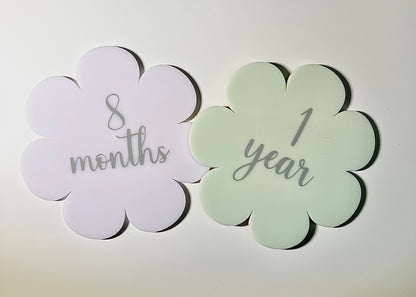 Pastel Daisy Milestone Disc Set