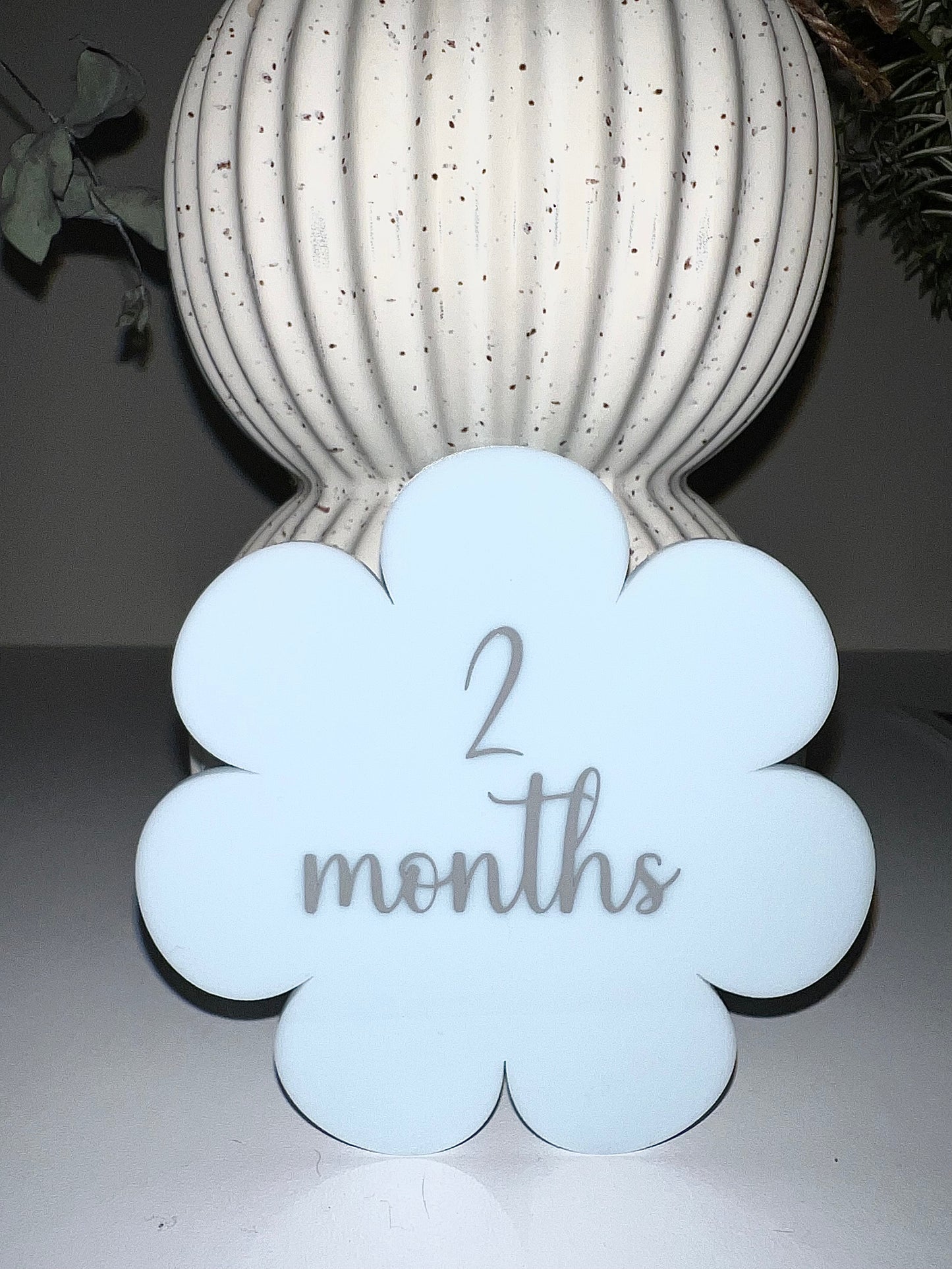 Pastel Daisy Milestone Disc Set